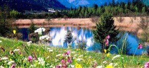 Olor a Primavera